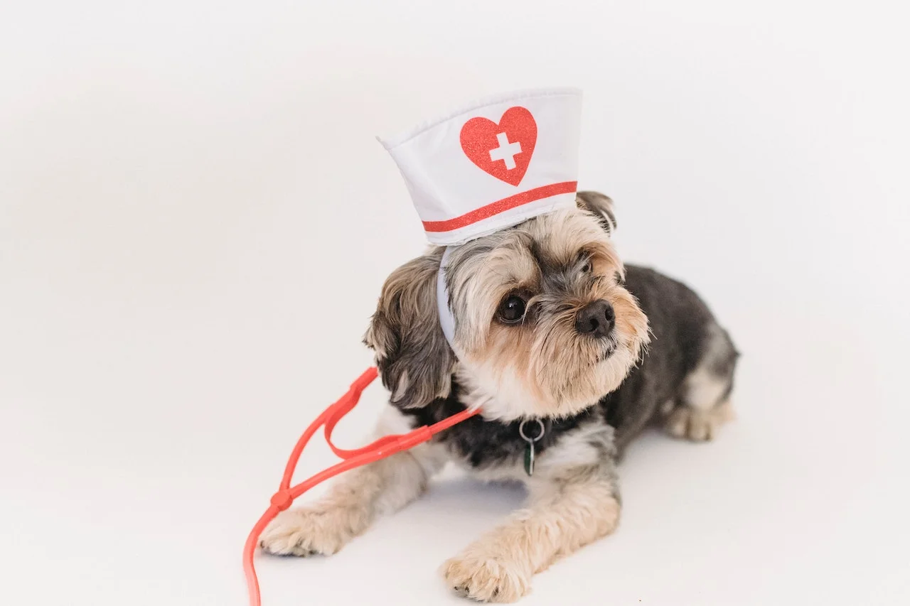 veterinary los angeles