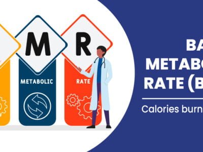 basal metabolic rate