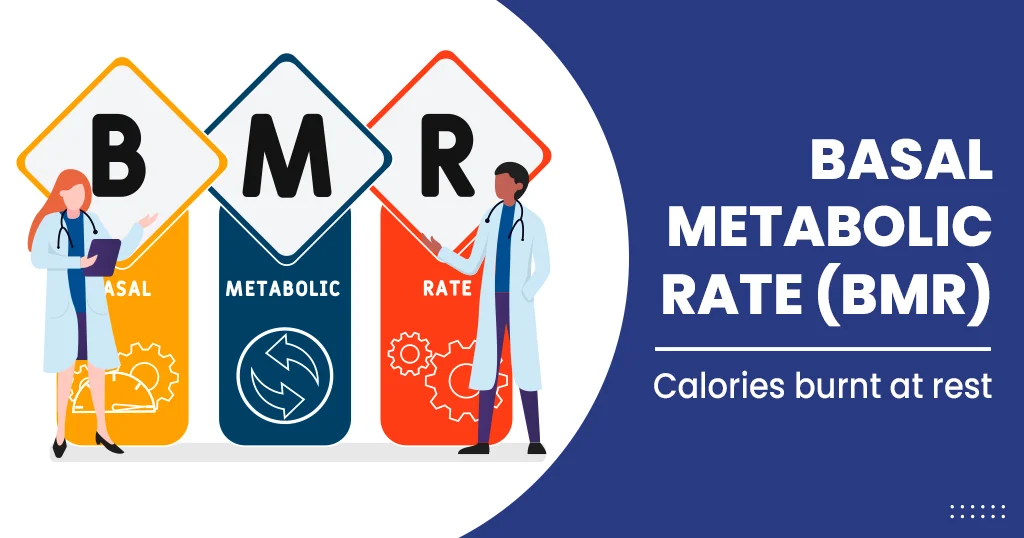 basal metabolic rate