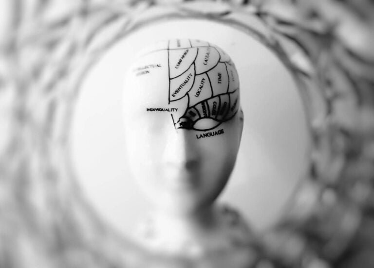 Sapiophile vs Sapiosexual The Battle of the Brains