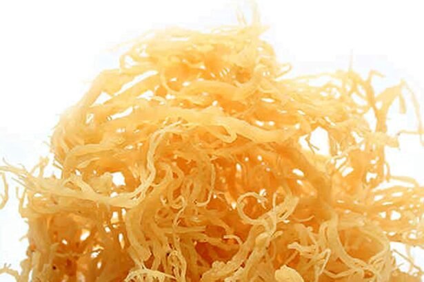 Irish Sea Moss Supplement