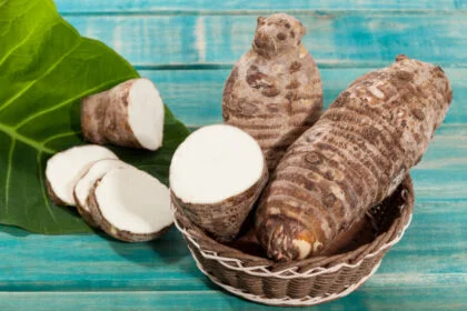 Malanga