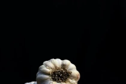 Garlic Health Benefits