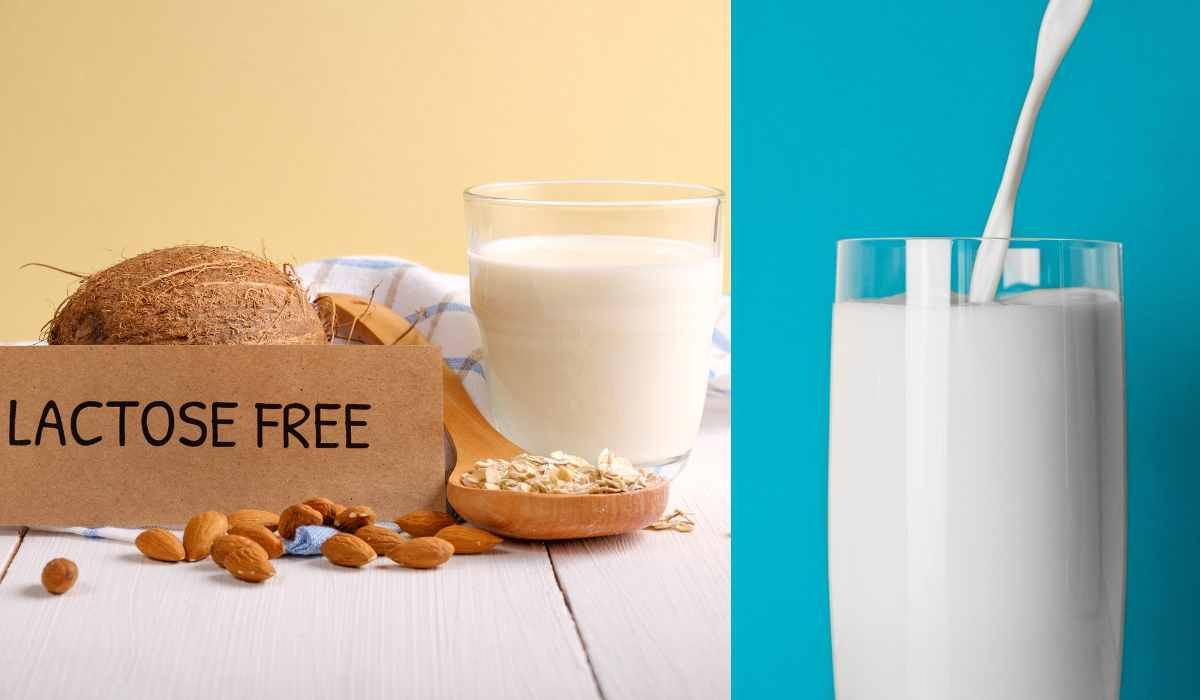 Does LactoseFree Milk Have the Same Nutritional Value as Regular Milk?