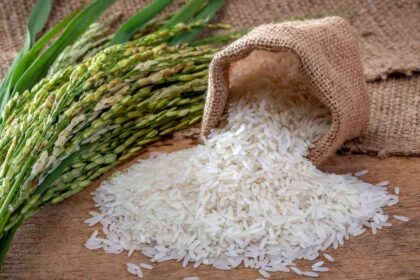 Rice Nutrition Facts