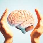 Study Finds Surprising Brain Region Behind Drug Highs