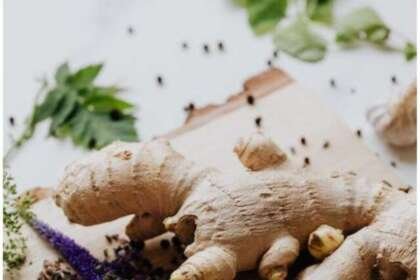Ginger Health Benefits