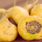 Maca Root: Health Benefits and Nutritional Profile