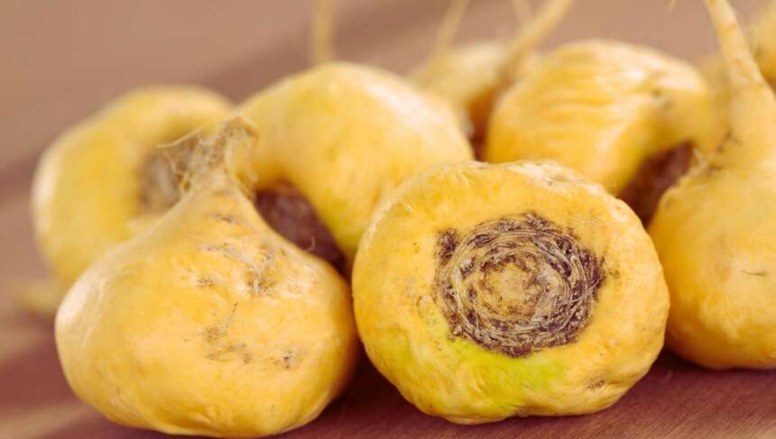 Maca Root: Health Benefits and Nutritional Profile