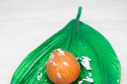 Health Benefits of Betel Leaf