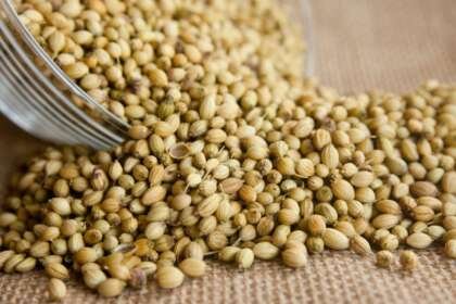 Why is this nutritionist saying to use coriander