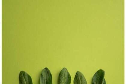 These people should not consume spinach