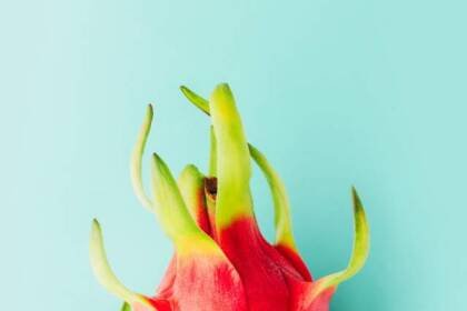Does Eating Dragon Fruit Reduce the Risk of Diabetes?