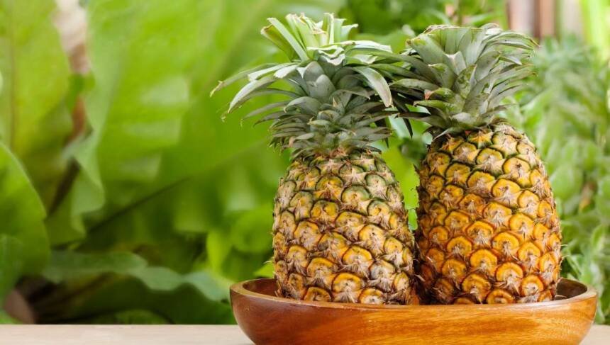 Pineapple: Health Benefits and Nutritional Profile