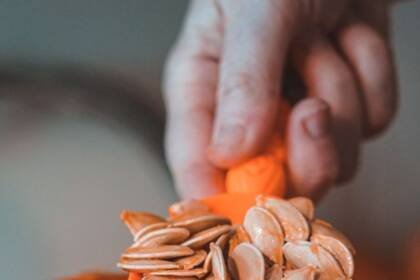 The Health Benefits of Pumpkin Seeds