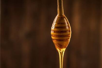What is the content of honey