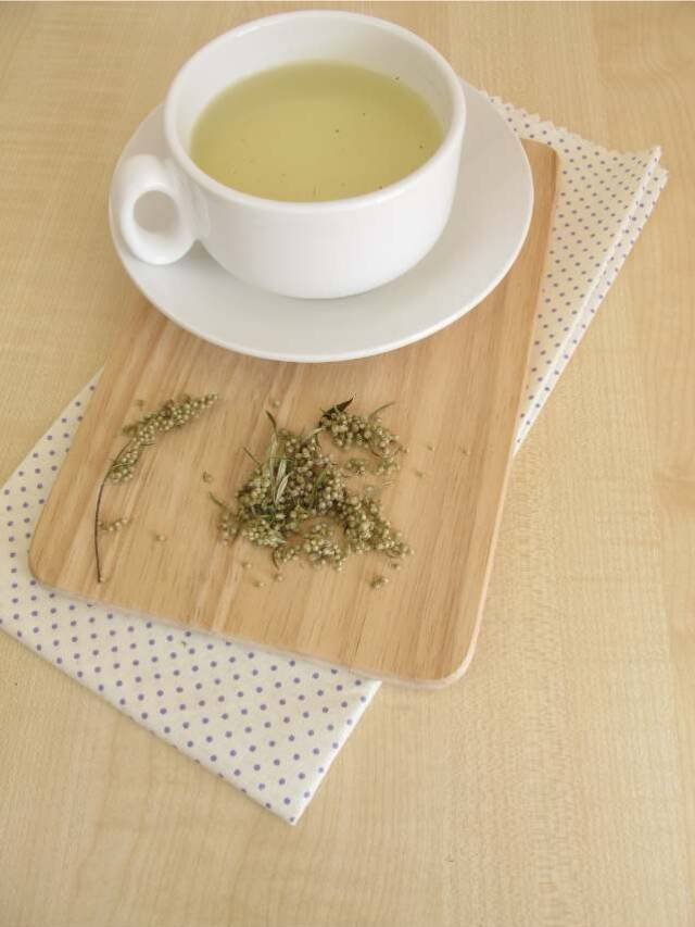 The Health Advantages of Mugwort Tea