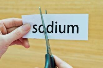 Best Ways To Incorporate Low Sodium Cheese in Your Diet