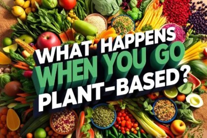 What Happens When You Go Plant-Based Diet