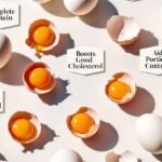 3 Compelling Reasons to Include Eggs in Your Daily Diet