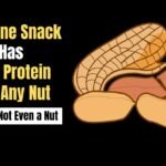 Why Peanuts Are a Powerhouse Plant-Based Protein