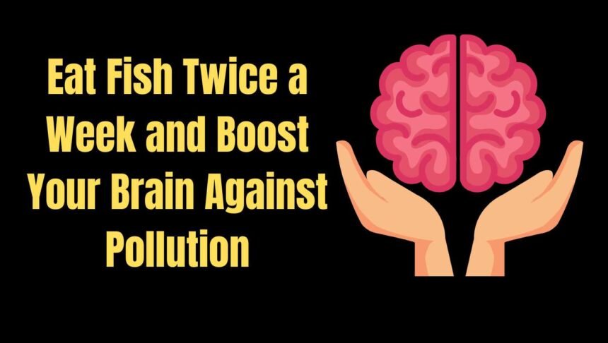 Eat Fish Twice a Week and Boost Your Brain Against Pollution
