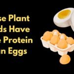 6 Plant Based Foods That Offer More Protein Than Eggs