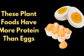 6 Plant Based Foods That Offer More Protein Than Eggs