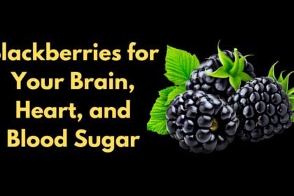 This Happens to Your Brain, Heart, and Blood Sugar When You Eat Blackberries Daily