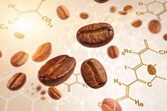 Newly Discovered Coffee Compounds Outperform a Diabetes Drug